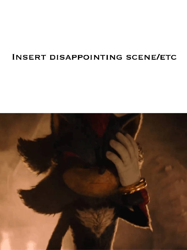 Shadow facepalms at what Blank Meme Template