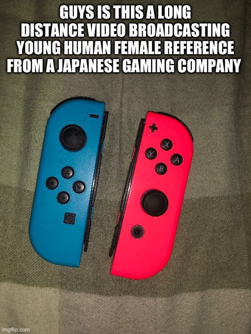 GUYS IS THIS A LONG DISTANCE VIDEO BROADCASTING YOUNG HUMAN FEMALE REFERENCE FROM A JAPANESE GAMING COMPANY | made w/ Imgflip meme maker