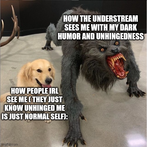 I'm not making fun of the mods just making fun of like the point of view everyone has | HOW THE UNDERSTREAM SEES ME WITH MY DARK HUMOR AND UNHINGEDNESS; HOW PEOPLE IRL SEE ME ( THEY JUST KNOW UNHINGED ME IS JUST NORMAL SELF): | image tagged in dog vs werewolf | made w/ Imgflip meme maker