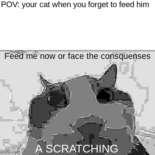 green text cat | POV: your cat when you forget to feed him; Feed me now or face the consquenses; A SCRATCHING | image tagged in green text cat | made w/ Imgflip meme maker