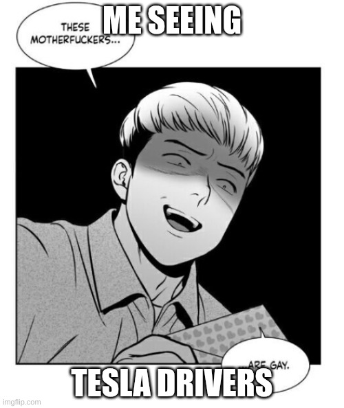 These MF's....are gay | ME SEEING; TESLA DRIVERS | image tagged in these mf's are gay | made w/ Imgflip meme maker