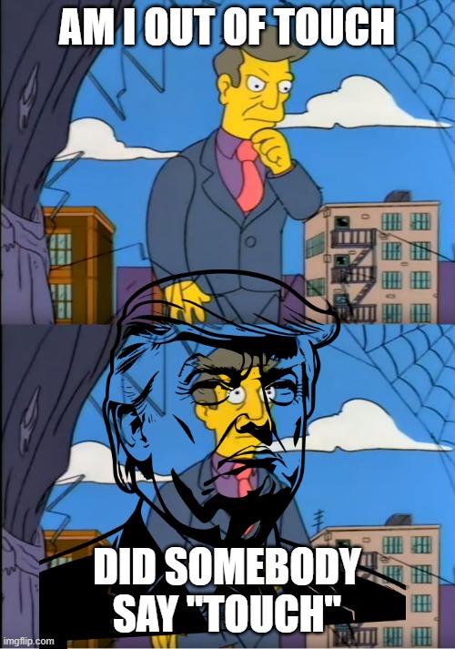 Skinner Out Of Touch | AM I OUT OF TOUCH DID SOMEBODY SAY "TOUCH" | image tagged in skinner out of touch | made w/ Imgflip meme maker