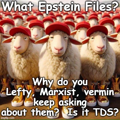 Trump Sheeple Golden Sneakers MAGA hat JPP | What Epstein Files? Why do you Lefty, Marxist, vermin keep asking about them?  Is it TDS? | image tagged in trump sheeple golden sneakers maga hat jpp | made w/ Imgflip meme maker