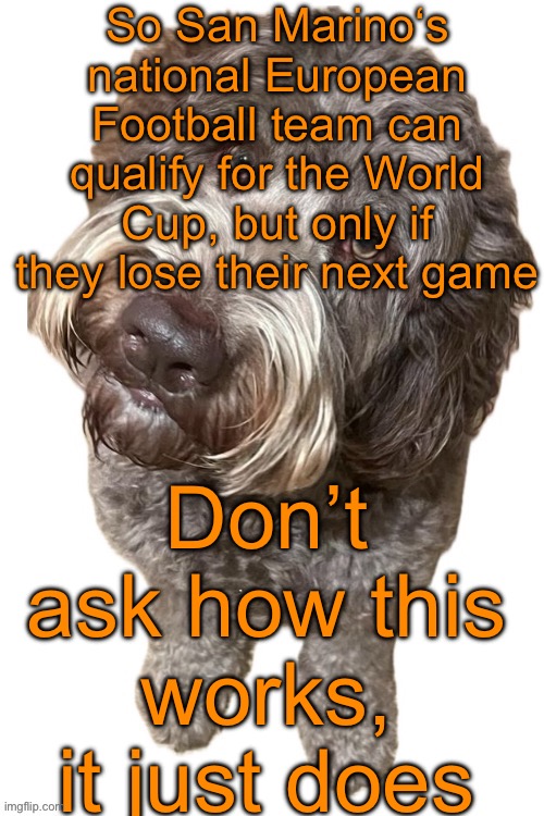Norther's dog | So San Marino‘s national European Football team can qualify for the World Cup, but only if they lose their next game; Don’t ask how this works, it just does | image tagged in norther's dog | made w/ Imgflip meme maker