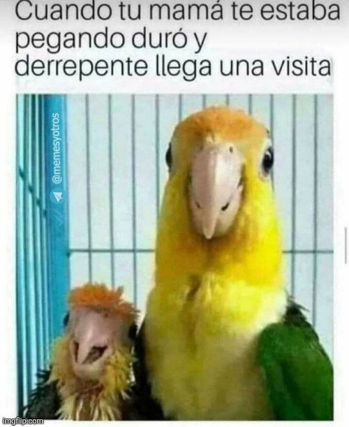 a9bfvd.jpg