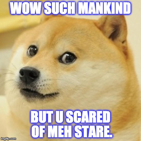 Doge Meme | WOW SUCH MANKIND BUT U SCARED OF MEH STARE. | image tagged in memes,doge | made w/ Imgflip meme maker