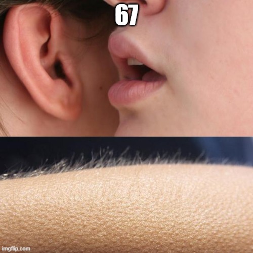 so stoopid | 67 | image tagged in whisper and goosebumps,67 | made w/ Imgflip meme maker