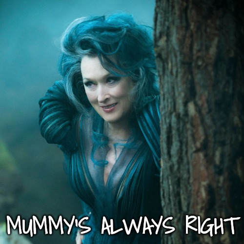 Meryl Streep Into the Woods | MUMMY'S ALWAYS RIGHT | image tagged in meryl streep into the woods | made w/ Imgflip meme maker
