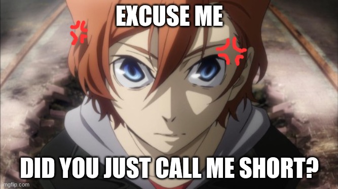 Never Mess With Chuuya's Height Guys :< I Was His Hair I Can Say This Happened | EXCUSE ME; DID YOU JUST CALL ME SHORT? | image tagged in chuuya didn t hear that right | made w/ Imgflip meme maker