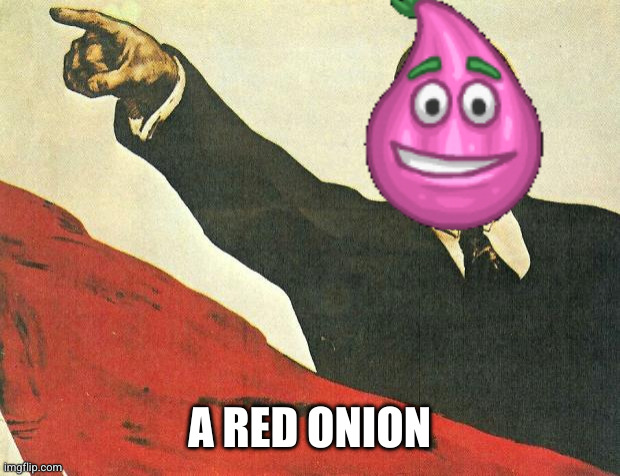 ...you're a communist | A RED ONION | image tagged in you're a communist | made w/ Imgflip meme maker