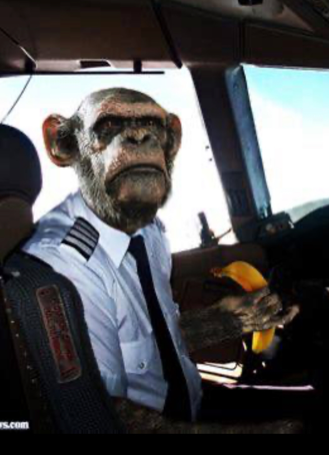 Capitulating all the things Blank Meme Template