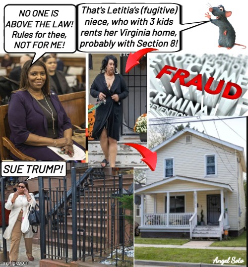 NY AG Letitia James no one is above the law | That's Letitia's (fugitive)
niece, who with 3 kids
rents her Virginia home,
probably with Section 8! NO ONE IS 
ABOVE THE LAW!
Rules for thee,
NOT FOR ME! SUE TRUMP! Angel Soto | image tagged in letitia james criminal mortgage fraud,letitia james,trump,mortgage fraud,criminal,i am above the law | made w/ Imgflip meme maker