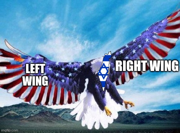 Freedom eagle | RIGHT WING; LEFT WING | image tagged in freedom eagle | made w/ Imgflip meme maker