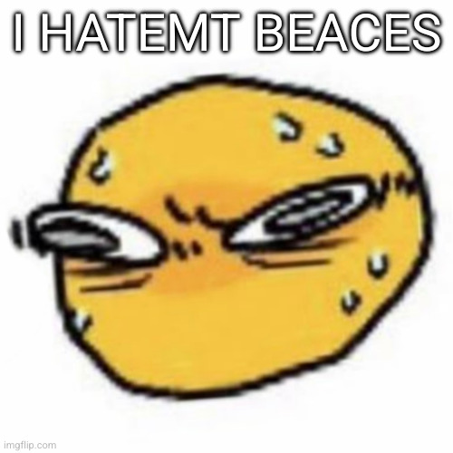 qsqhwhhqshqhh,,, , | I HATEMT BEACES | image tagged in qsqhwhhqshqhh | made w/ Imgflip meme maker