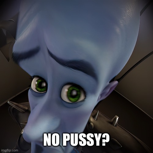 Magamind no bitches | NO PUSSY? | image tagged in magamind no bitches | made w/ Imgflip meme maker