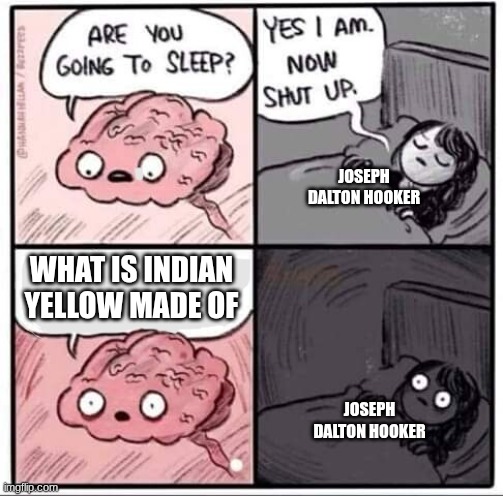 Art history joke | JOSEPH DALTON HOOKER; WHAT IS INDIAN YELLOW MADE OF; JOSEPH DALTON HOOKER | image tagged in are you going to sleep,art history | made w/ Imgflip meme maker