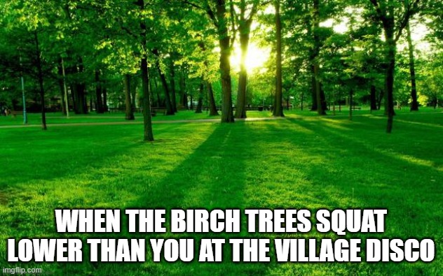 Grass and trees | WHEN THE BIRCH TREES SQUAT LOWER THAN YOU AT THE VILLAGE DISCO | image tagged in grass and trees,slavic live,slavic lives matter | made w/ Imgflip meme maker