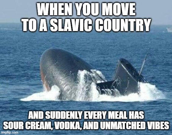 surface | WHEN YOU MOVE TO A SLAVIC COUNTRY; AND SUDDENLY EVERY MEAL HAS SOUR CREAM, VODKA, AND UNMATCHED VIBES | image tagged in surface,slavic lives matter,slavic ocean | made w/ Imgflip meme maker