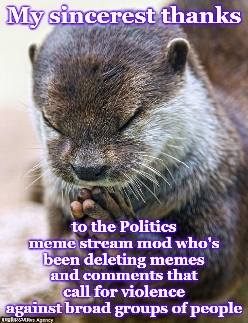 Really. We appreciate it when you keep the stream to a simmering civilty | My sincerest thanks; to the Politics meme stream mod who's been deleting memes and comments that call for violence against broad groups of people | image tagged in memes,moderators,protection,thank you | made w/ Imgflip meme maker
