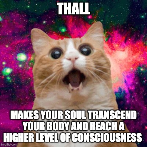 Thall is trippy | THALL; MAKES YOUR SOUL TRANSCEND YOUR BODY AND REACH A HIGHER LEVEL OF CONSCIOUSNESS | image tagged in kitties be trippin,thall,cat,funny,meme | made w/ Imgflip meme maker