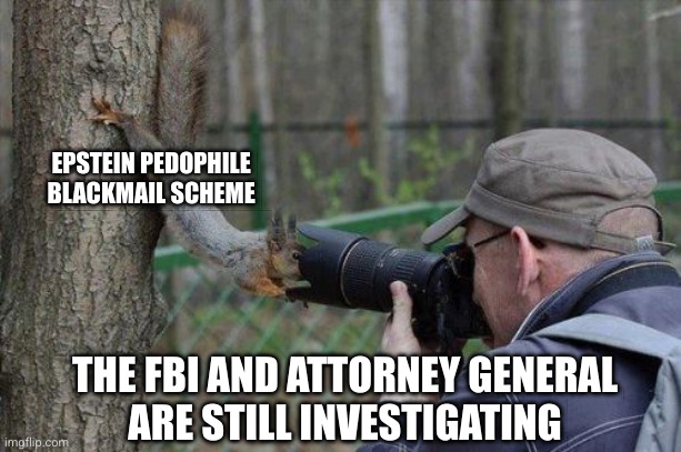 The FBI and Attorney General are investigating the Epstein allegations so hard | EPSTEIN PEDOPHILE BLACKMAIL SCHEME; THE FBI AND ATTORNEY GENERAL
 ARE STILL INVESTIGATING | image tagged in memes,jehovas witness squirrel,jeffrey epstein,donald trump,liars,pedophiles | made w/ Imgflip meme maker