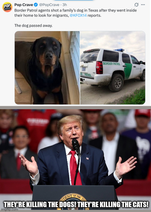 this pyschopath is killing pets now | THEY'RE KILLING THE DOGS! THEY'RE KILLING THE CATS! | made w/ Imgflip meme maker