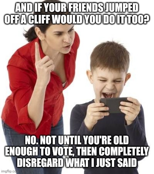 mom scolding | AND IF YOUR FRIENDS JUMPED OFF A CLIFF WOULD YOU DO IT TOO? NO. NOT UNTIL YOU'RE OLD ENOUGH TO VOTE, THEN COMPLETELY DISREGARD WHAT I JUST SAID | image tagged in mom scolding | made w/ Imgflip meme maker