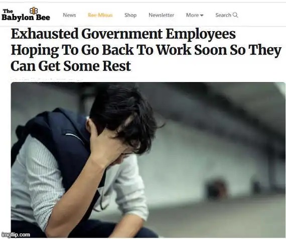 The Bee is so borderline truth that sometimes it's hard to believe it is satire! | image tagged in democrats,wasted,wasted days and wasted nights,sleep,i don't need sleep i need answers | made w/ Imgflip meme maker
