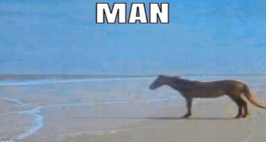 Looks like my girlfriend caught me cheating | image tagged in depressed horse | made w/ Imgflip meme maker