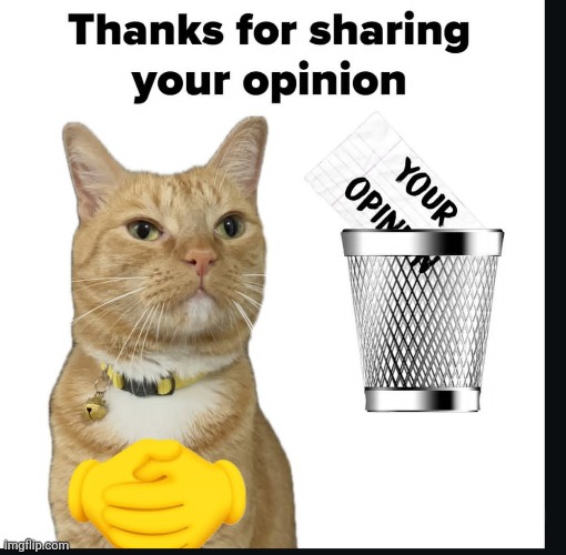 image tagged in funny,facts,meme,memes,cat,orange cat | made w/ Imgflip meme maker