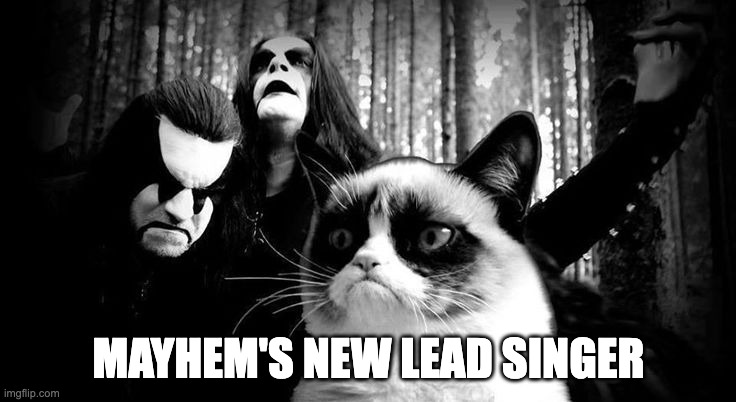 Mayhem's new lead singer | MAYHEM'S NEW LEAD SINGER | image tagged in black metal grumpy cat,funny,blackmetal,memes | made w/ Imgflip meme maker