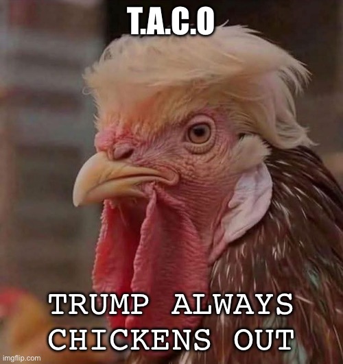Taco Trump | T.A.C.O; TRUMP ALWAYS CHICKENS OUT | image tagged in taco,trump,chickn,maga,republicans | made w/ Imgflip meme maker