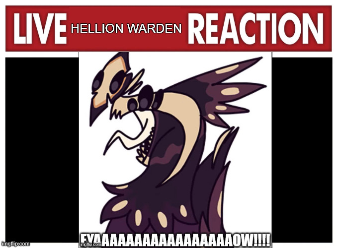 Live reaction | HELLION WARDEN | image tagged in live reaction | made w/ Imgflip meme maker