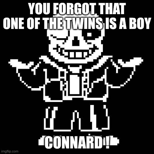 their name is Kalos I will post what they look like | YOU FORGOT THAT ONE OF THE TWINS IS A BOY; CONNARD ! | image tagged in sans undertale | made w/ Imgflip meme maker