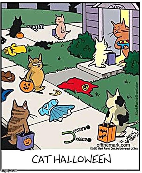 They hate wearing clothes, even if it’s a nifty Halloween costume… | image tagged in cats,off the mark,comics,trick or treat,halloween,costumes | made w/ Imgflip meme maker