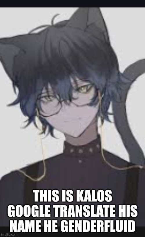 sorry if I spam | THIS IS KALOS GOOGLE TRANSLATE HIS NAME HE GENDERFLUID | made w/ Imgflip meme maker