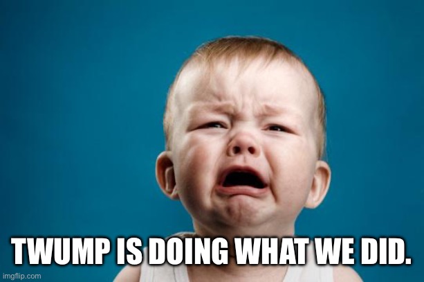BABY CRYING | TWUMP IS DOING WHAT WE DID. | image tagged in baby crying | made w/ Imgflip meme maker
