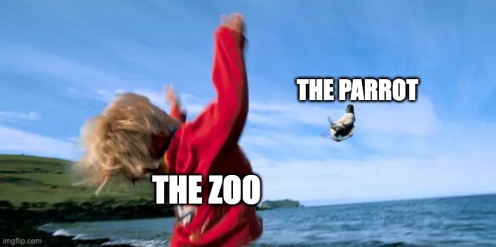 throwing bird | THE ZOO THE PARROT | image tagged in throwing bird | made w/ Imgflip meme maker