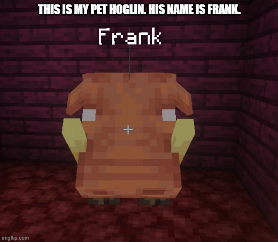 Hoglin | THIS IS MY PET HOGLIN. HIS NAME IS FRANK. | image tagged in hoglin | made w/ Imgflip meme maker