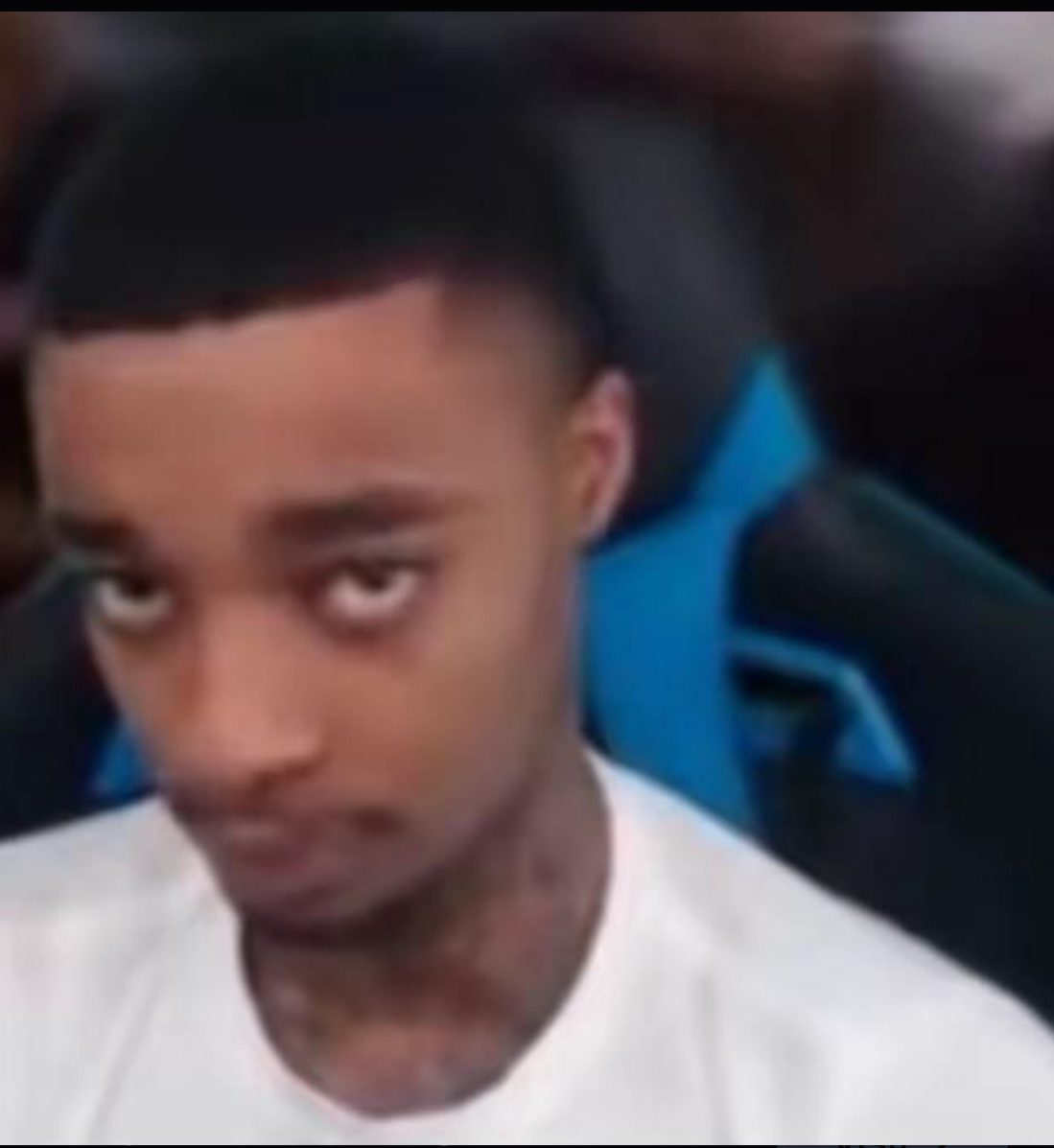 Flight staring at camera Blank Meme Template