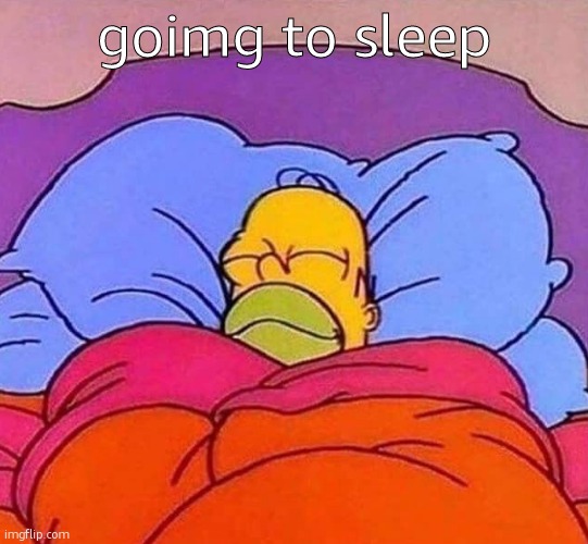 homie thinks we'll miss him | goimg to sleep | image tagged in homer simpson sleeping peacefully | made w/ Imgflip meme maker