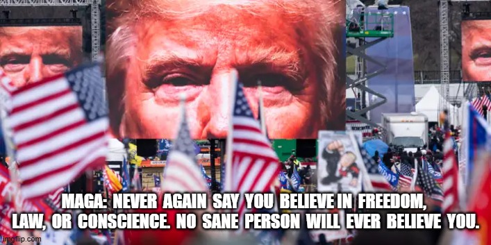 Never Again! | MAGA:  NEVER  AGAIN  SAY  YOU  BELIEVE IN  FREEDOM,  LAW,  OR  CONSCIENCE.  NO  SANE  PERSON  WILL  EVER  BELIEVE  YOU. | image tagged in maga | made w/ Imgflip meme maker