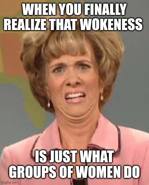Women, can't live with them, can't live without them | WHEN YOU FINALLY REALIZE THAT WOKENESS; IS JUST WHAT GROUPS OF WOMEN DO | image tagged in disgusted kristin wiig | made w/ Imgflip meme maker