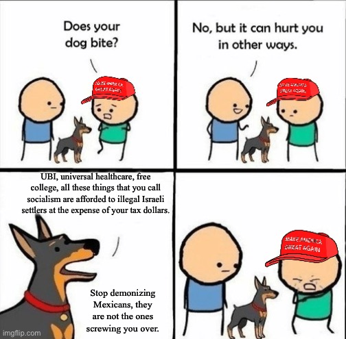 If the US can send Israelis to college for free, they can do it for us. | UBI, universal healthcare, free college, all these things that you call socialism are afforded to illegal Israeli settlers at the expense of your tax dollars. Stop demonizing Mexicans, they are not the ones screwing you over. | image tagged in maga does your dog bite,israel,mexico,socialism | made w/ Imgflip meme maker