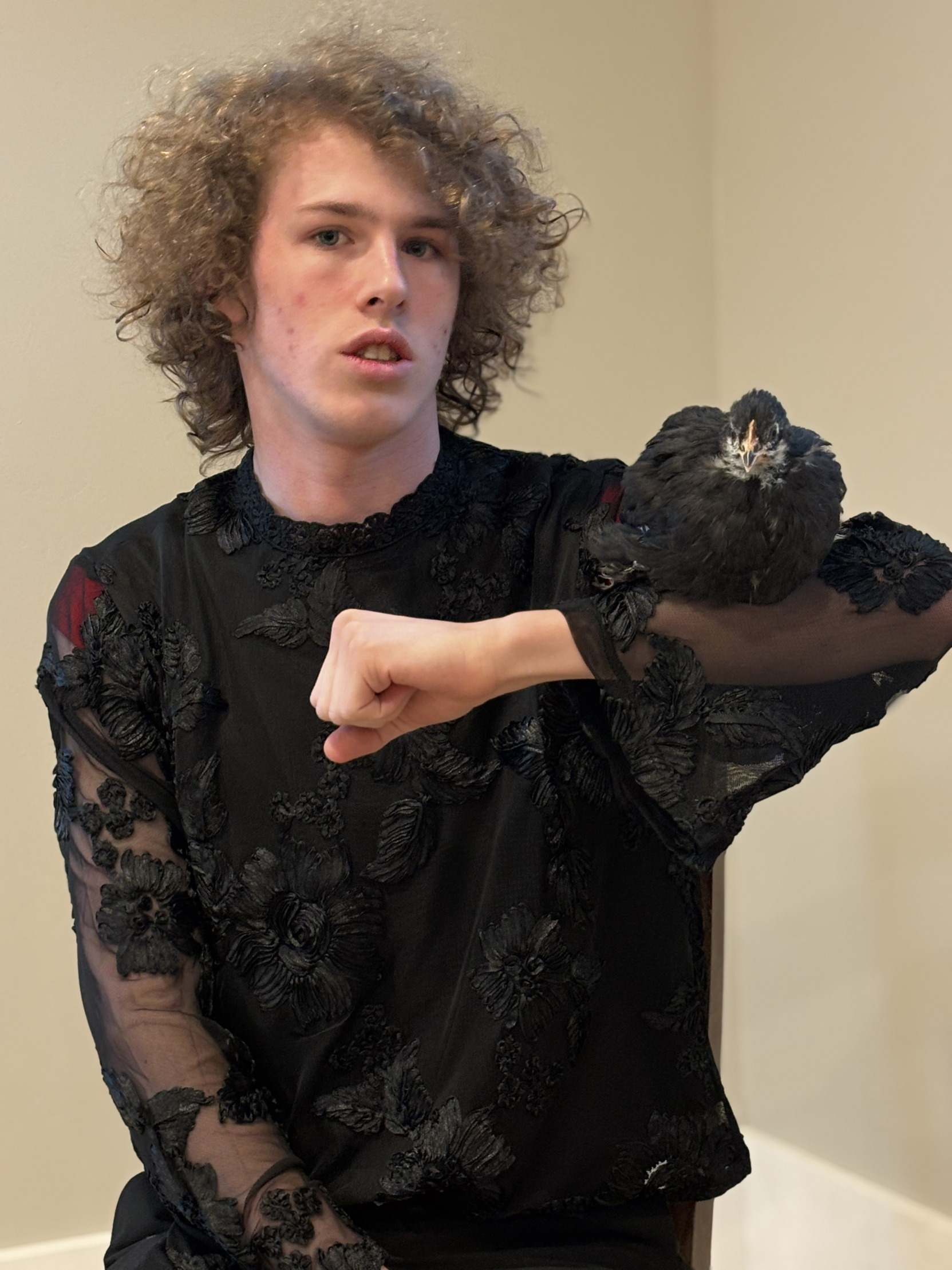 High Quality Liam Keel & Black Pullet Chicken (October 15th, 2025) #1 Blank Meme Template