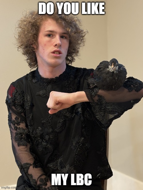 Do You Like My LBC | DO YOU LIKE; MY LBC | image tagged in liam keel black pullet chicken october 15th 2025 1,liam keel,chicken,lewd,funny,king of my little pony | made w/ Imgflip meme maker