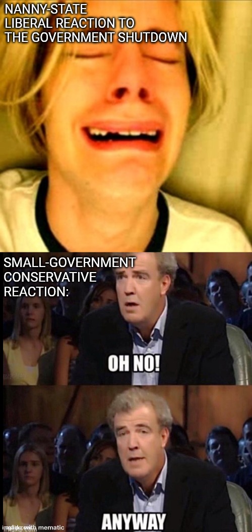 leave taxpayers alone | NANNY-STATE LIBERAL REACTION TO THE GOVERNMENT SHUTDOWN; SMALL-GOVERNMENT CONSERVATIVE REACTION: | image tagged in leave brittney alone,oh no anyway | made w/ Imgflip meme maker