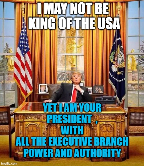 EXECUTIVE BRANCH POWERS reside in a mansion, not a palace you TWITS | I MAY NOT BE 
KING OF THE USA; YET I AM YOUR
PRESIDENT  ,
WITH
ALL THE EXECUTIVE BRANCH
POWER AND AUTHORITY | image tagged in president trump,executive orders,king charles,the queen,whitehouse,mansion | made w/ Imgflip meme maker
