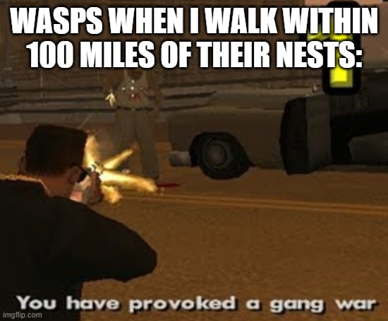 Wasps, God I Hate Them! | WASPS WHEN I WALK WITHIN 100 MILES OF THEIR NESTS: | image tagged in gang war,memes,wasp,funny | made w/ Imgflip meme maker