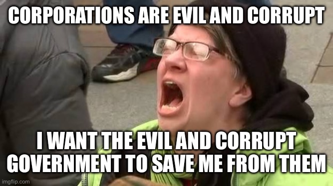 Screaming Trump Protester at Inauguration | CORPORATIONS ARE EVIL AND CORRUPT; I WANT THE EVIL AND CORRUPT GOVERNMENT TO SAVE ME FROM THEM | image tagged in screaming trump protester at inauguration | made w/ Imgflip meme maker